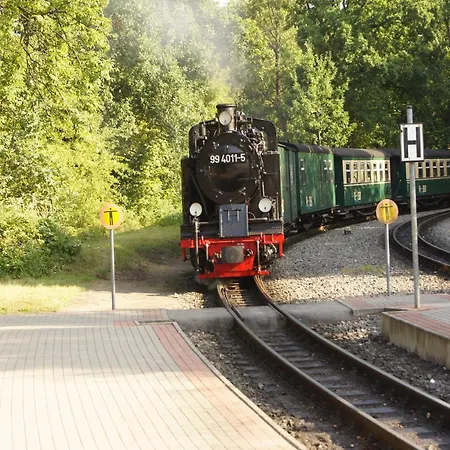 Schoenes Im Nationalpark Granitz Seerams